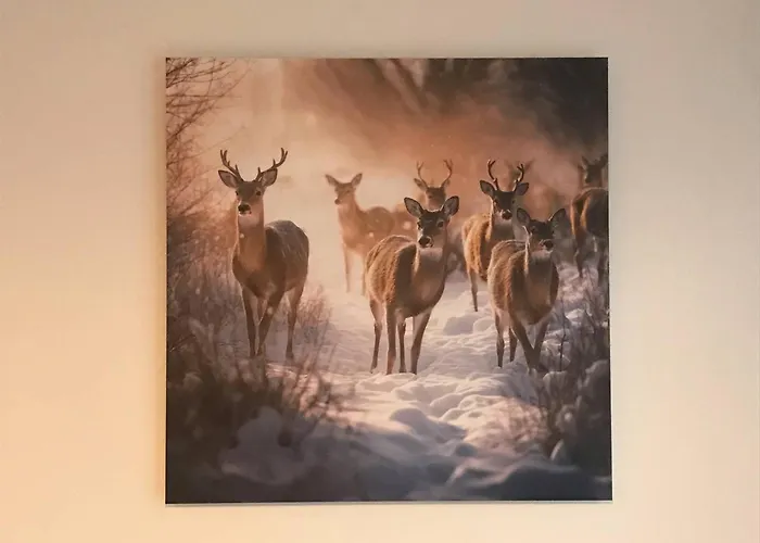 Lumineux Au Centre De Avec Terrasse Et Garage - Fr-1-812-136 Cauterets