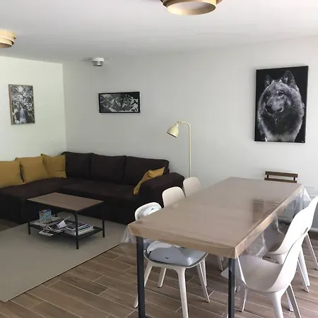 아파트 Lumineux Au Centre De Avec Terrasse Et Garage - Fr-1-812-136