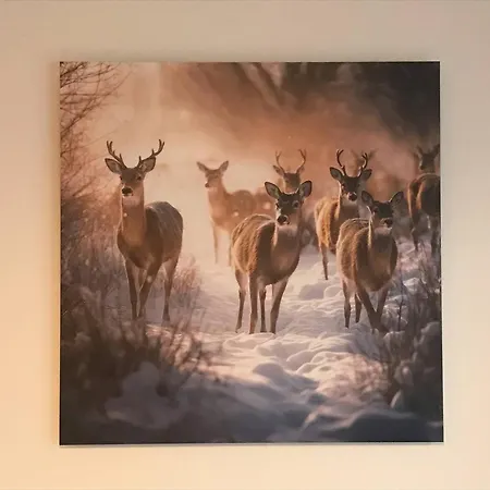 Lumineux Au Centre De Avec Terrasse Et Garage - Fr-1-812-136 Cauterets